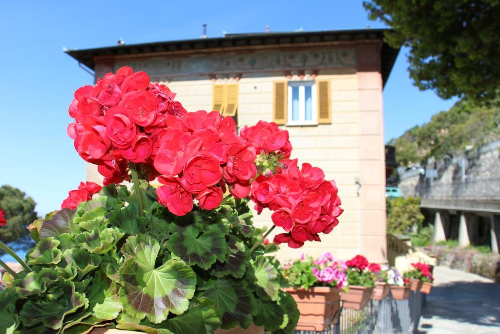 B&B Villa Orchidea Camogli Exterior foto